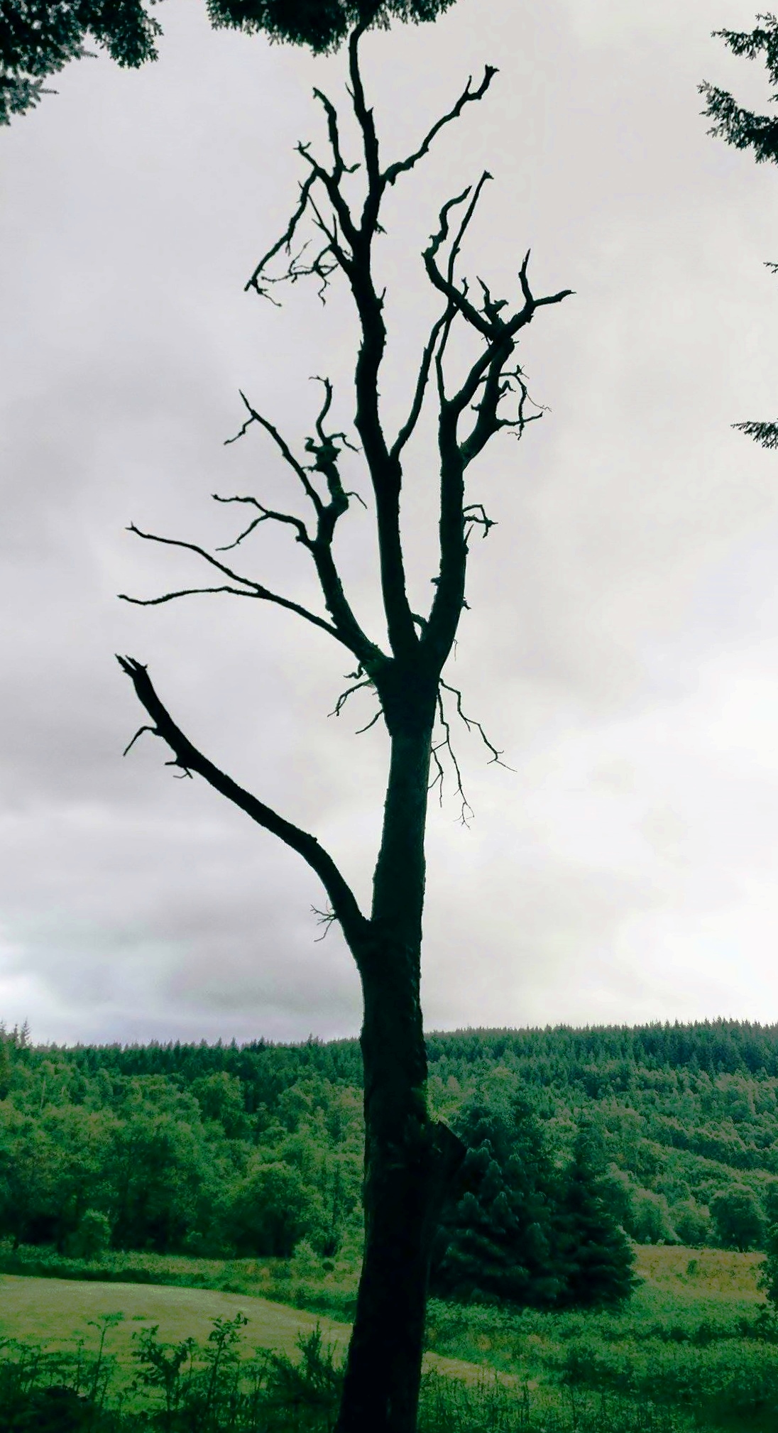 19650246_10156277905368362_713275215_o