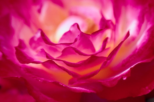 Photographer unknown - used with gratitude